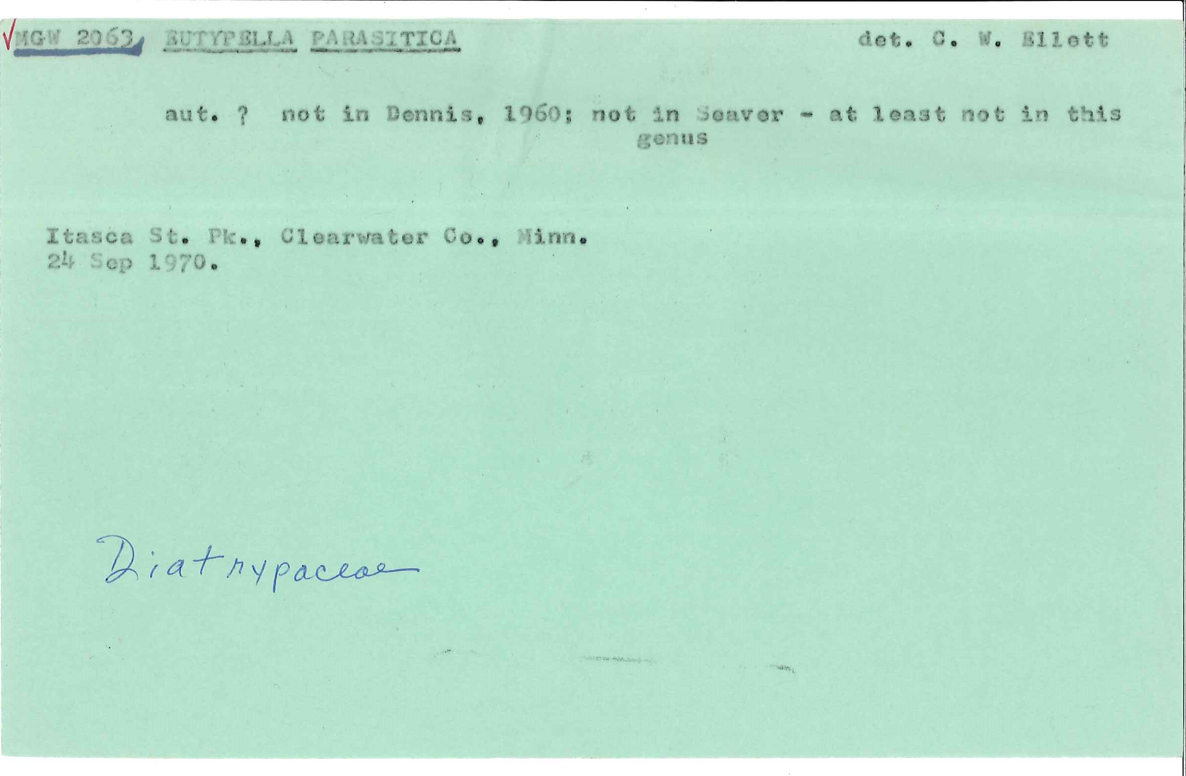 Eutypella parasitica image