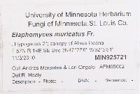 Image Associated With the Occurrence