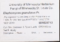 Image Associated With the Occurrence