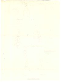 Helvella queletii image