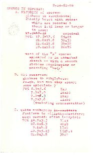 Helvella macropus image