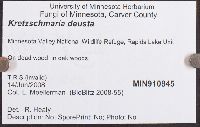Kretzschmaria deusta image