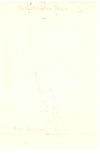 Jafnea fusicarpa image