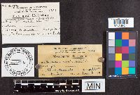 Biscogniauxia marginata image