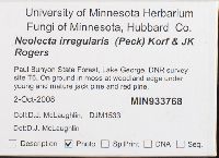 Neolecta irregularis image