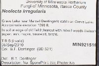 Neolecta irregularis image