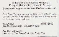 Stropharia rugoso-annulata image