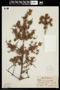 Image Associated With the Occurrence