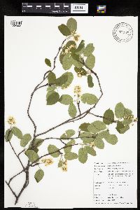 Image Associated With the Occurrence