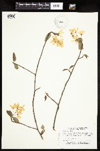 Image Associated With the Occurrence