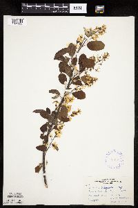 Image Associated With the Occurrence