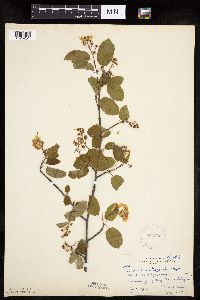 Image Associated With the Occurrence