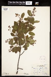 Image Associated With the Occurrence