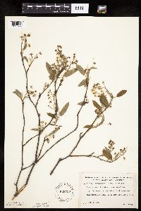 Image Associated With the Occurrence