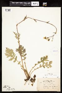 Image Associated With the Occurrence