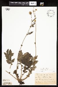 Image Associated With the Occurrence