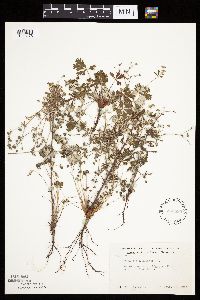 Image Associated With the Occurrence