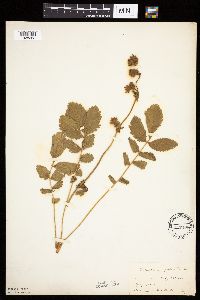 Image Associated With the Occurrence