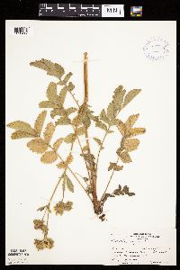 Image Associated With the Occurrence