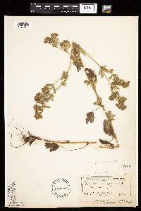 Image Associated With the Occurrence