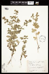 Image Associated With the Occurrence