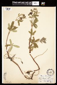 Image Associated With the Occurrence