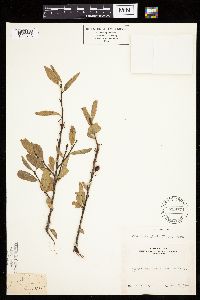 Image Associated With the Occurrence