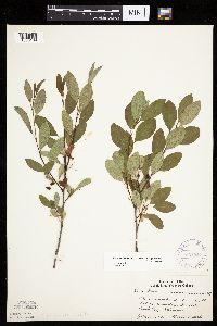 Image Associated With the Occurrence