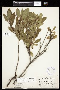 Image Associated With the Occurrence