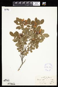 Image Associated With the Occurrence