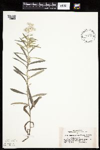 Image Associated With the Occurrence