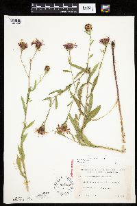 Image Associated With the Occurrence