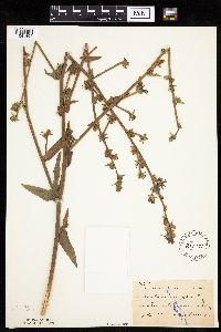 Image Associated With the Occurrence