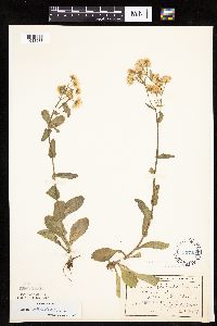 Image Associated With the Occurrence