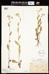 Image Associated With the Occurrence