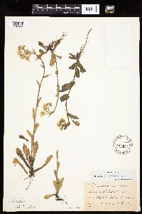 Image Associated With the Occurrence