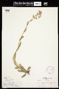 Image Associated With the Occurrence