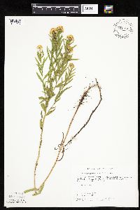 Image Associated With the Occurrence