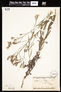 Image Associated With the Occurrence