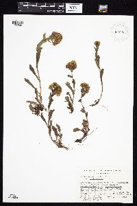 Image Associated With the Occurrence