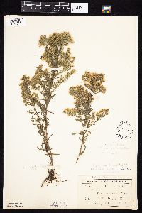 Image Associated With the Occurrence