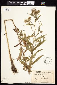 Image Associated With the Occurrence