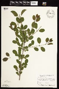 Image Associated With the Occurrence