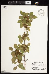 Image Associated With the Occurrence