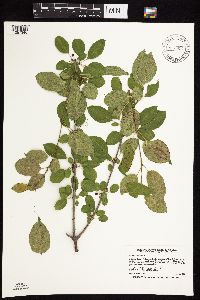 Image Associated With the Occurrence