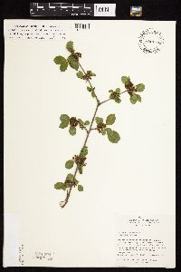 Image Associated With the Occurrence