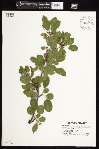 Image Associated With the Occurrence