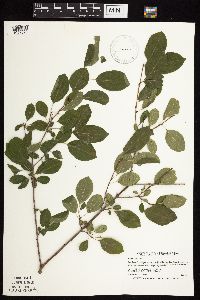 Image Associated With the Occurrence