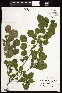 Image Associated With the Occurrence