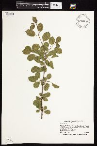 Image Associated With the Occurrence